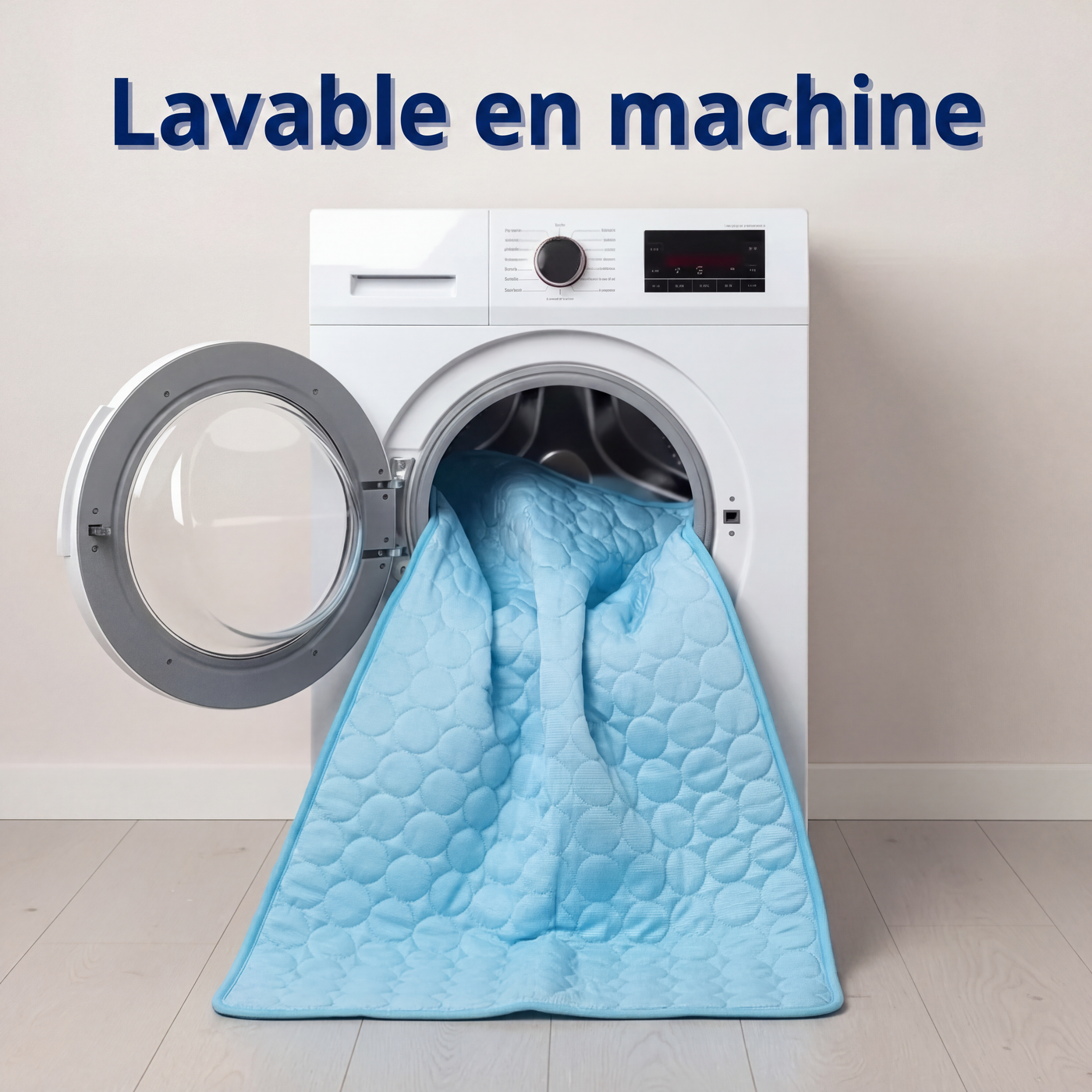 Tapis rafraîchissant Aurvys pour chien