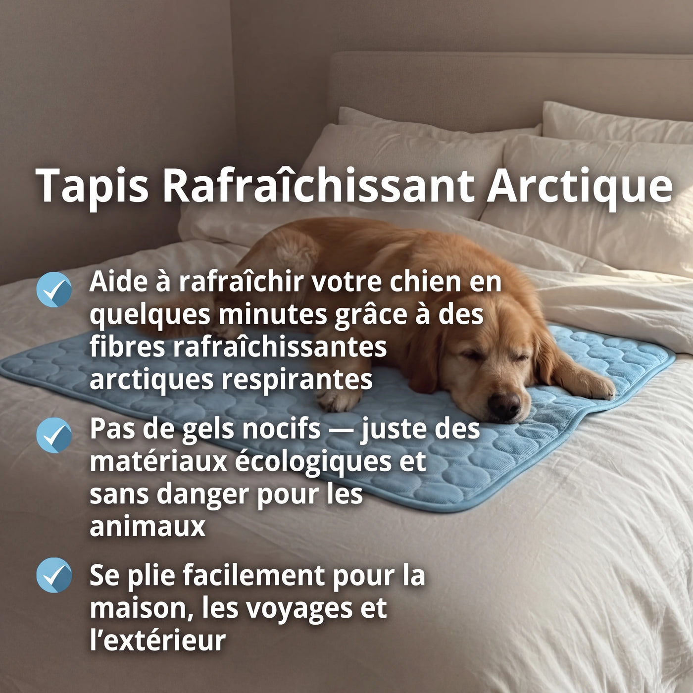 Tapis rafraîchissant Aurvys pour chien