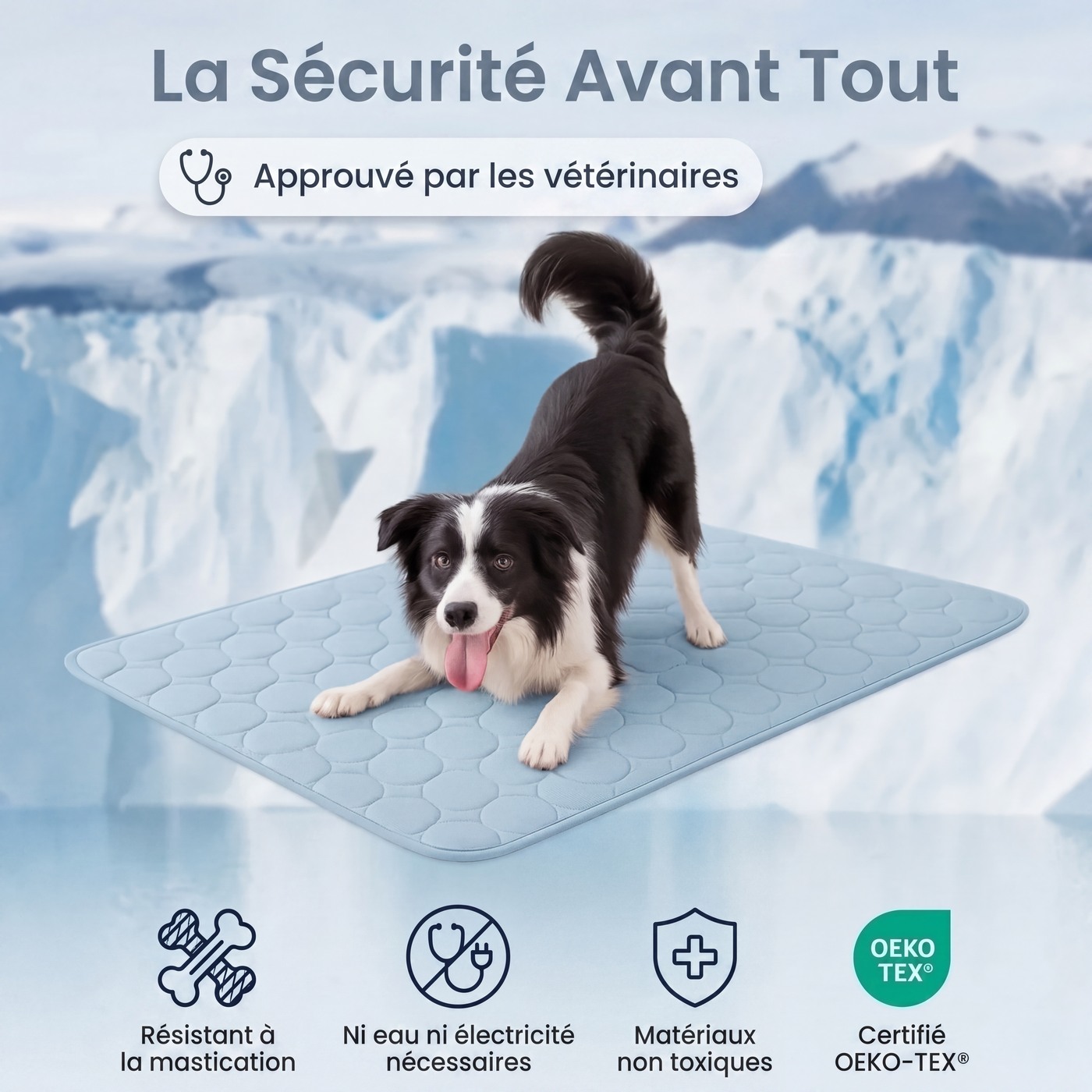 Tapis rafraîchissant Aurvys pour chien
