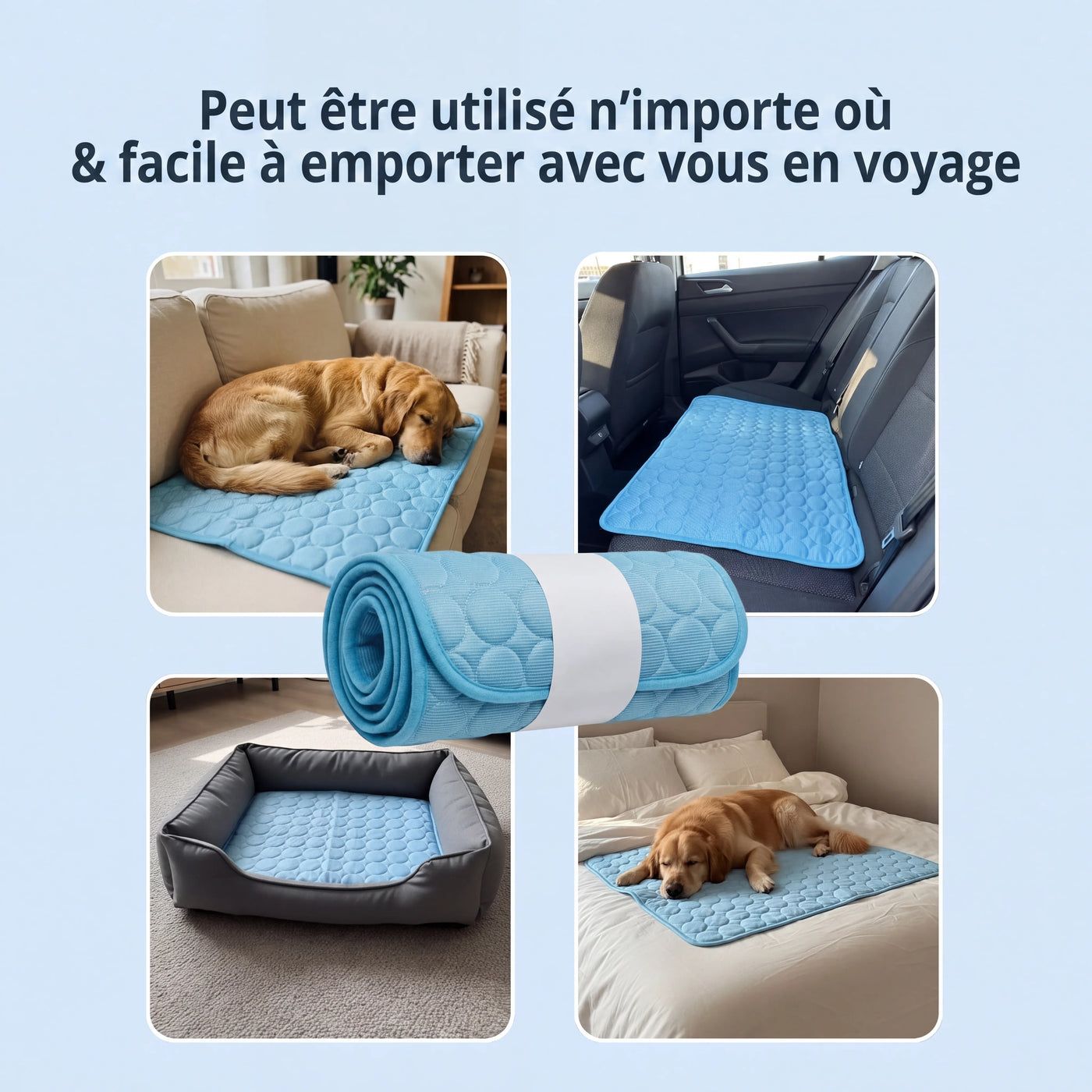 Tapis rafraîchissant Aurvys pour chien