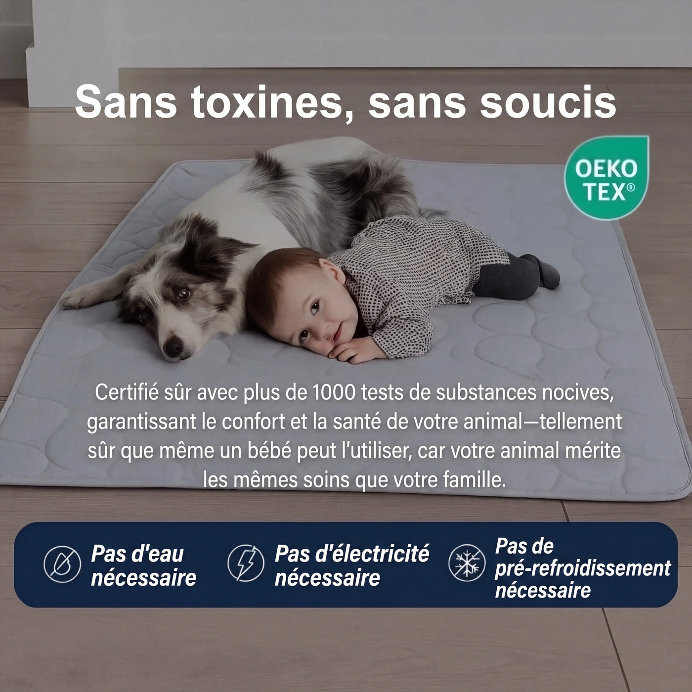 Tapis rafraîchissant Aurvys pour chien