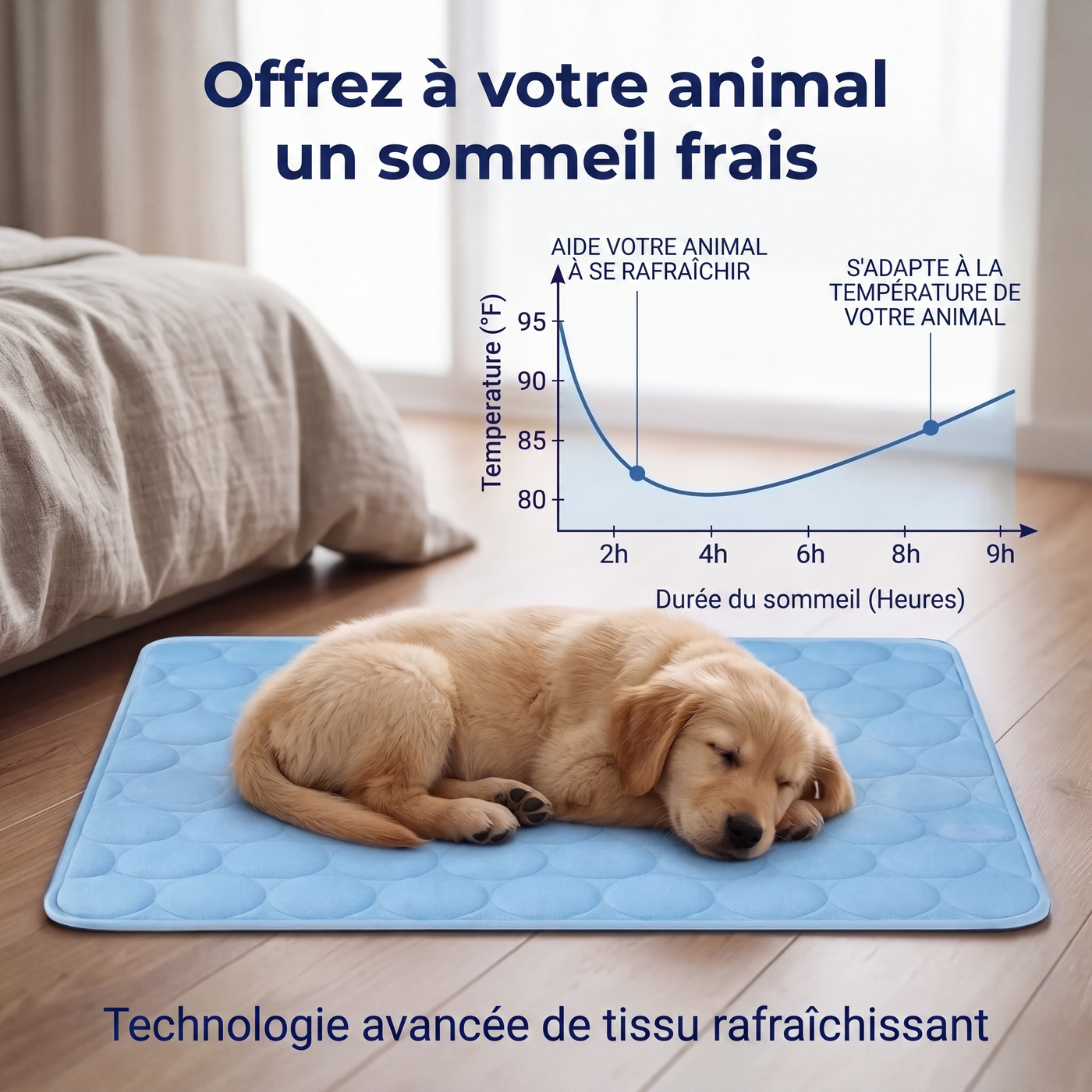 Tapis rafraîchissant Aurvys pour chien