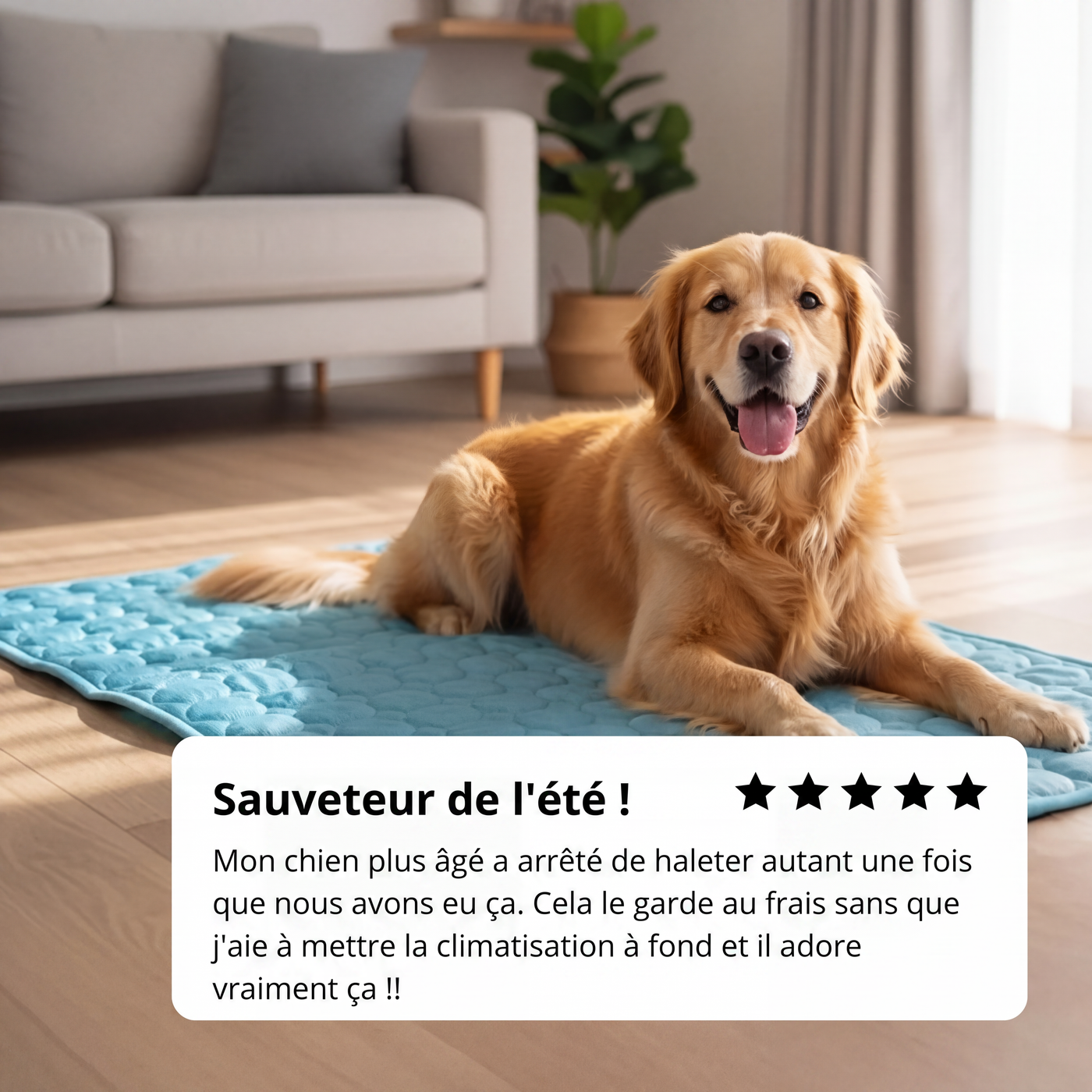 Tapis rafraîchissant Aurvys pour chien