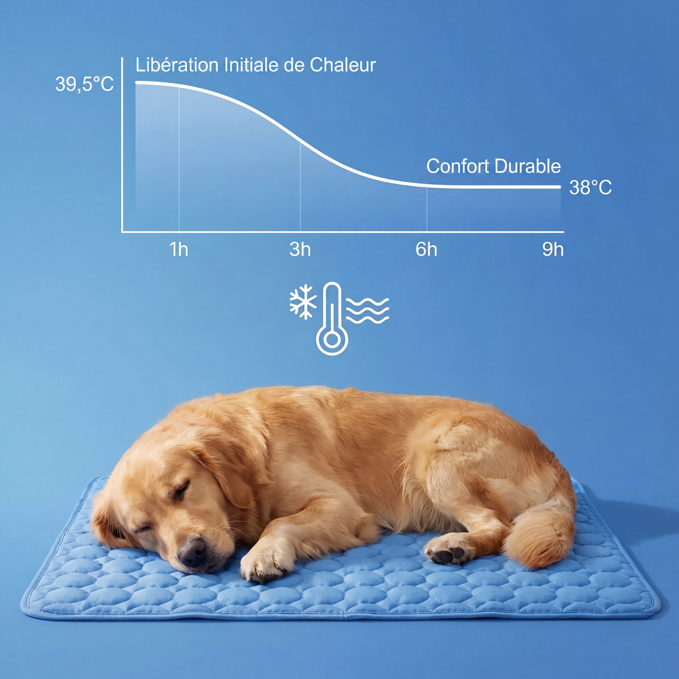 Tapis rafraîchissant Aurvys pour chien
