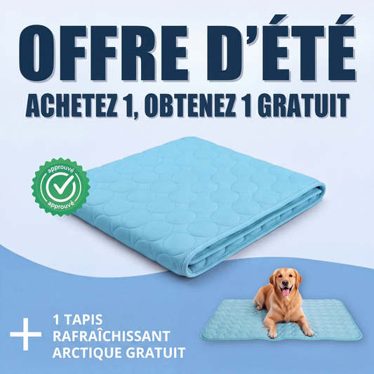 Tapis rafraîchissant Aurvys pour chien